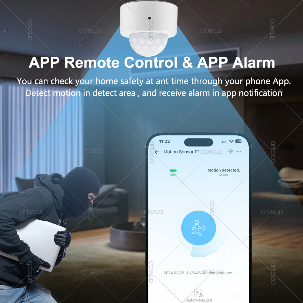Ewelink Zigbee PIR Motion Sens - Smart Home Google Assistant avaliação e preço
