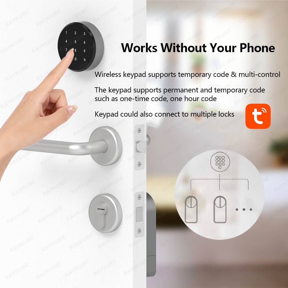 RAYKUBE A1 Pro Tuya BEL Smart  - Smart Home Door Lock avaliação e preço