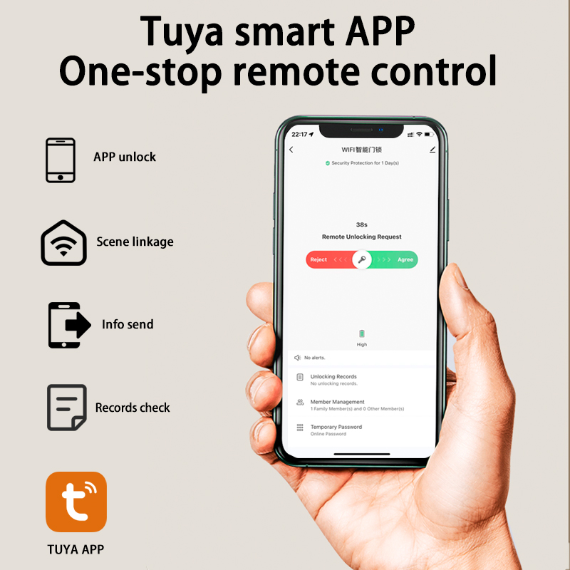 Tuya Smart Lock Wirelss With F - Smart Home Door Lock avaliação e preço