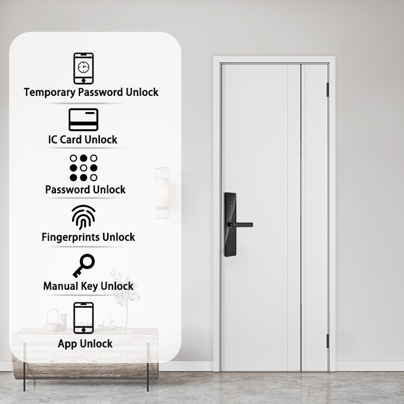 Tuya Smart Lock Wirelss With F - Smart Home Door Lock avaliação e preço
